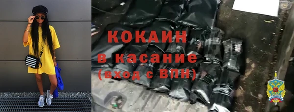 стафф Гусев