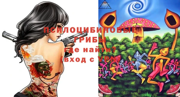 стафф Гусев