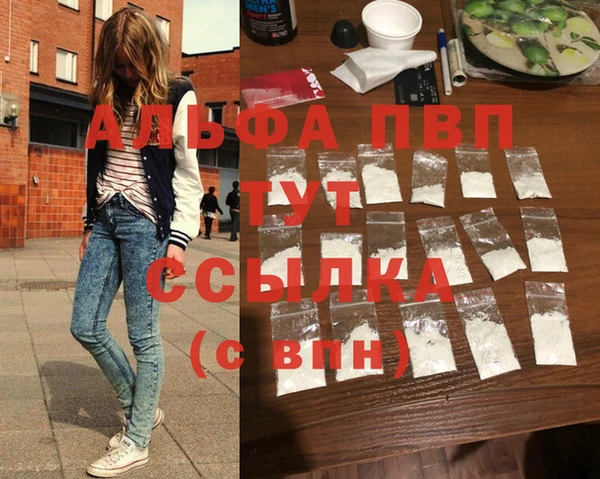 стафф Гусев