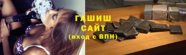 стафф Гусев