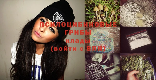 ешки Гусь-Хрустальный