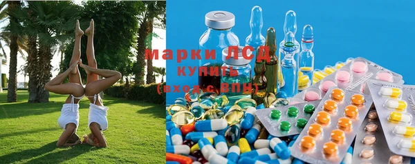 стафф Гусев