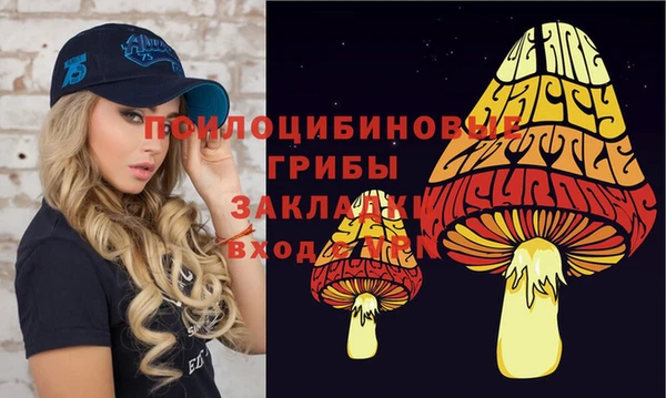 ешки Гусь-Хрустальный
