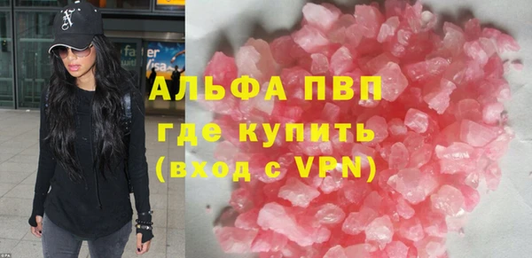 стафф Гусев