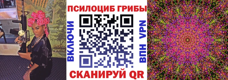 где купить наркотик  мега онион  Псилоцибиновые грибы Cubensis  Петрозаводск 